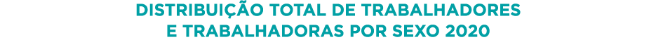 Distribuição Total de Trabalhadores e Trabalhadoras por Sexo 2020
