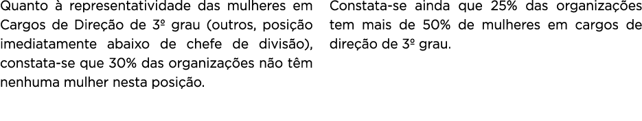 Quanto à representatividade das mulheres em Cargos de Direção de 3  grau (outros, posição imediatamente abaixo de che   