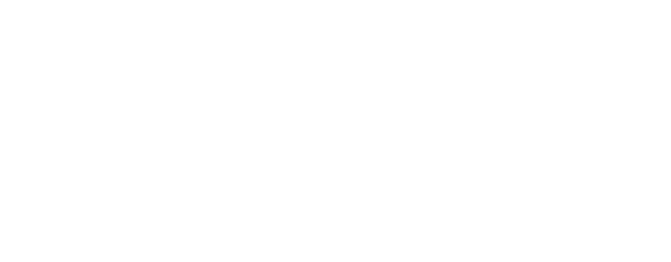 novo movimento c vico