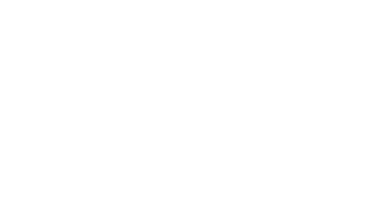 JOANA RABA A G RIA Presidente da CITE entre 2015 e 2019