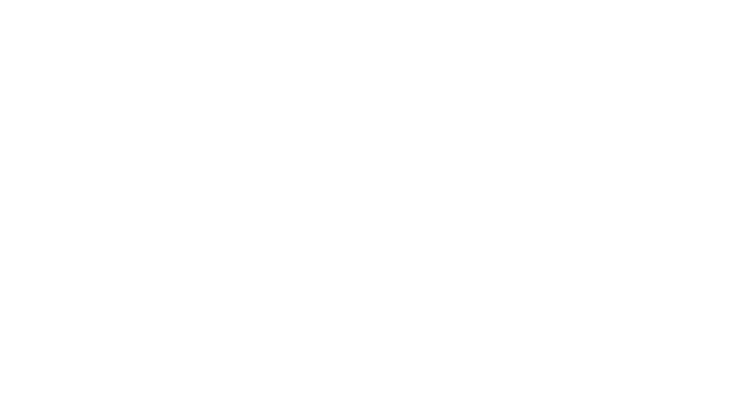 Sandra Ribeiro Presidente da CITE entre 2010 e 2015