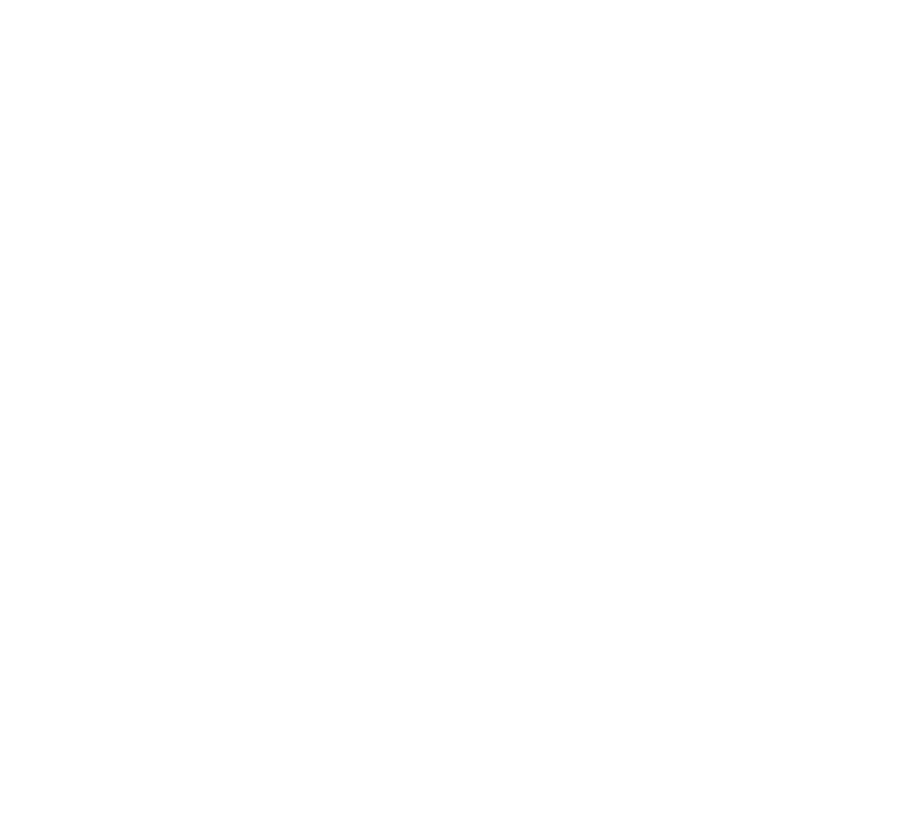 Principais marcos dos ltimos 10 anos para a promo  o da Igualdade 