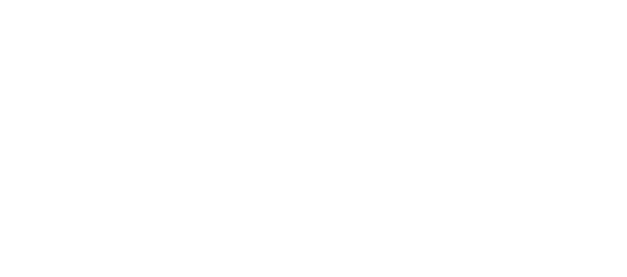 14 novembro Dia Nacional da Igualdade Salarial 