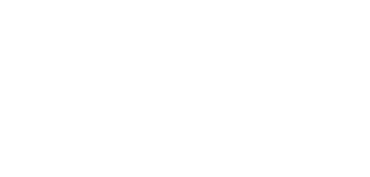 Sara Falc o Casaca Soci loga Professora catedr tica do ISEG ULisboa